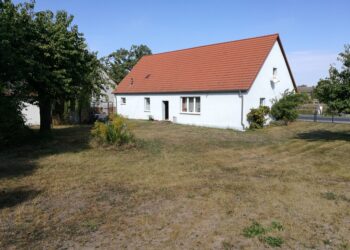 Iš pirmo žvilgsnio pigus sklypas gali brangiai kainuoti: pasakė, ką įvertinti iš anksto