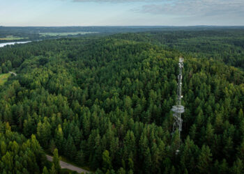 Miške senka telefono baterija? Patarė, ką daryti, kad neliktumėte be ryšio