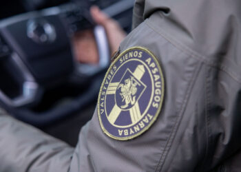 Vilniaus oro uoste sulaikyta iš Danijos deportuota, nuo teisėsaugos besislapsčiusi lietuvė