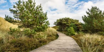 Mažiau streso, daugiau poilsio: kaip suplanuoti šeimos biudžetą vasaros atostogoms