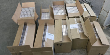 Po agurkais slėptas į Kaliningradą kontrabanda gabentas 0,5 mln. eurų vertės cigarečių krovinys