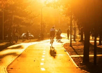 Šeimyniškių gatvėje pradėti dviračių tako įrengimo darbai