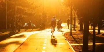 Šeimyniškių gatvėje pradėti dviračių tako įrengimo darbai