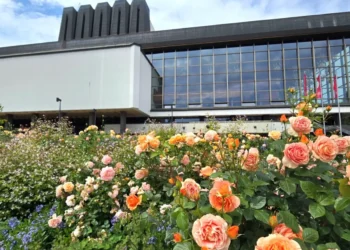 Išrinkti įspūdingiausi Vilniaus gėlynai