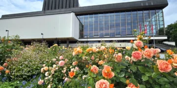 Išrinkti įspūdingiausi Vilniaus gėlynai