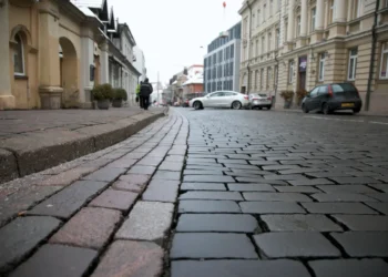 Paaiškino – kodėl Vilniaus miškuose būtini sanitariniai kirtimai?