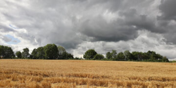 Dėl ilgo lietingo laikotarpio Vyriausybė paskelbė valstybės lygio ekstremaliąją situaciją