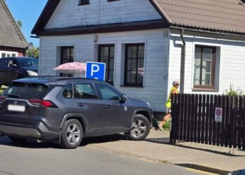 Trakuose nelegalus verslas stabdomas gatvės atitvarais