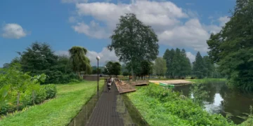 Grigiškių paplūdimys naujai atgims į ypatingą vietą žmonėms