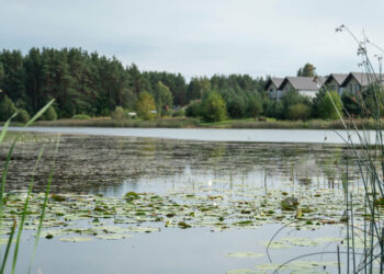 Vilniaus rajono maudyklų vanduo – švarus ir tinkamas maudytis
