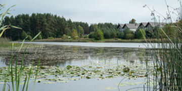 Vilniaus rajono maudyklų vanduo – švarus ir tinkamas maudytis