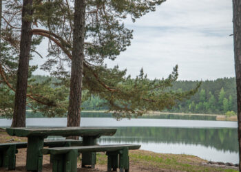 Vasaros pabaigai – puiki vandens kokybė Vilniaus rajono maudyklose