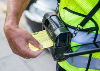 Paaiškino – kodėl Vilniaus miškuose būtini sanitariniai kirtimai?