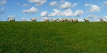 Žemės ūkis pripažintas nacionaliniam saugumui svarbia sritimi