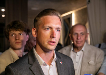 Lietuvai laukiant naujo premjero, R. Duchnevičius tikina: metas šviežiam kraujui