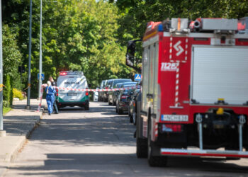 Iš pareigų traukiasi Vilniaus Žvėryno gimnazijos vadovė