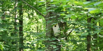 Po pamokų dar daugiau veiklų: vaikų būreliams sostinė šiemet paskirstė 10 mln. eurų