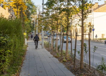 Išrinkti pirmosios Vilniaus piliečių asamblėjos dalyviai – ką jie spręs?