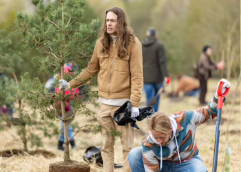 Vilnius kviečia įmones prisidėti prie miškų plėtros