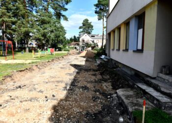 Gražėja Baltosios Vokės darželis