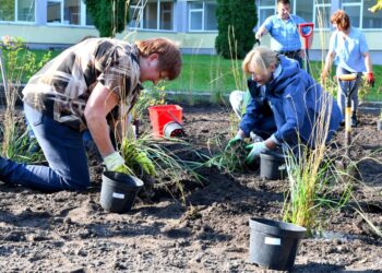 Stiprinamas aplinkosauginis sąmoningumas: daugiau augalų Šalčininkų mieste
