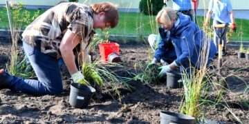 Stiprinamas aplinkosauginis sąmoningumas: daugiau augalų Šalčininkų mieste