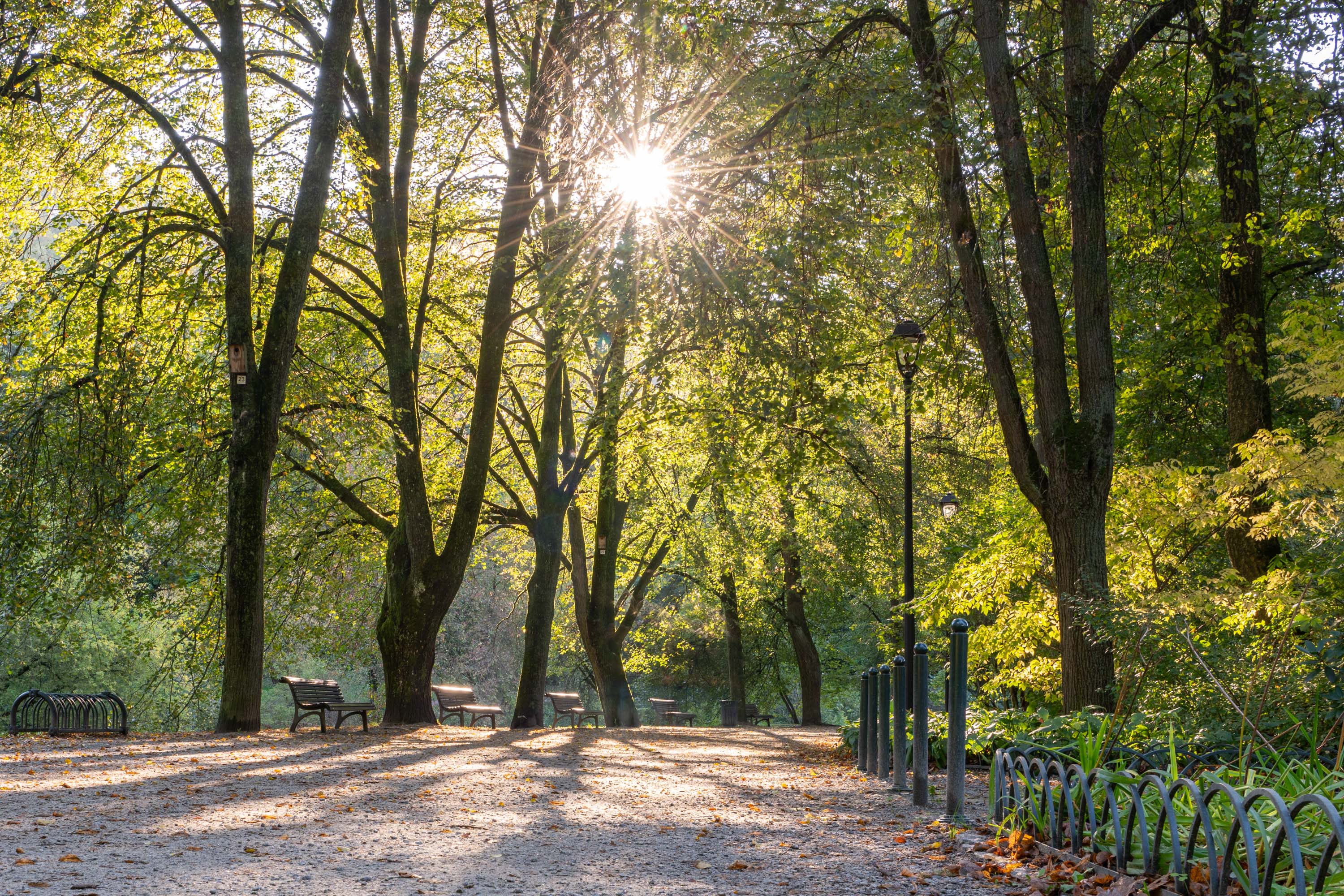 Vėlinių savaitgalis bus kontrastingas: rudens saulę keis lietus ir dargana