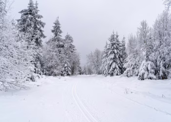 Sniego banga: daugiausia kliuvo Kalvarijai, Druskininkams ir Varėnai