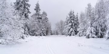 Sniego banga: daugiausia kliuvo Kalvarijai, Druskininkams ir Varėnai