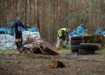 Pastangos dėl Vilniaus miškų – išvežta daugiau nei dvidešimt sunkvežimių atliekų