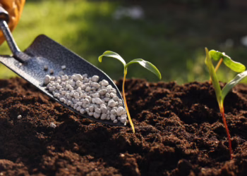 Griovimo profesionalai – kai svarbiausia tikslumas, saugumas ir patirtis