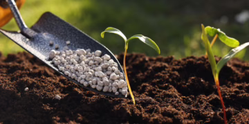 Griovimo profesionalai – kai svarbiausia tikslumas, saugumas ir patirtis