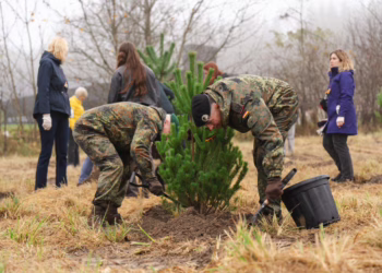 Vilniuje talkos dalyviai pasodino paskutinius medelius miesto miškui