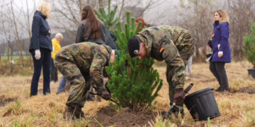 Vilniuje talkos dalyviai pasodino paskutinius medelius miesto miškui
