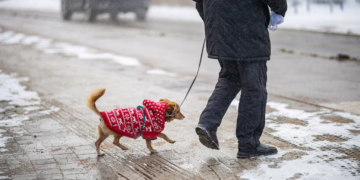 Vilniuje šią žiemą – daugiau skaldelės, mažiau druskos