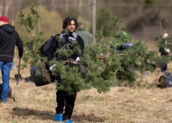 300 medžių iki naujo žaliosios sostinės miško: vilniečiai kviečiami į finalinę sodinimo talką