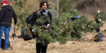 300 medžių iki naujo žaliosios sostinės miško: vilniečiai kviečiami į finalinę sodinimo talką