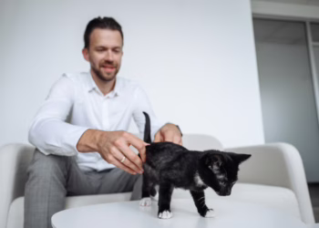 Vilniaus rajono gyventojai kviečiami įrengti kačių šėrimo vietas