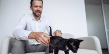 Vilniaus rajono gyventojai kviečiami įrengti kačių šėrimo vietas