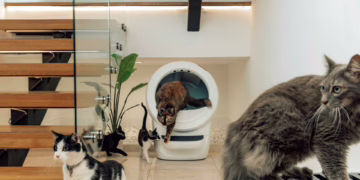 Didžiausias kačių augintojų galvos skausmas: kaip kraiko dėžė tampa konfliktų priežastimi?