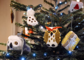 Ant įspūdingos Prezidentūros eglės kabo ir Vilniaus rajono vaikų žaisliukai