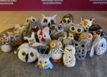 Šalčininkų knygos ir pelėdos nutūps ant Prezidentūros kalėdinės eglės