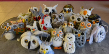 Šalčininkų knygos ir pelėdos nutūps ant Prezidentūros kalėdinės eglės