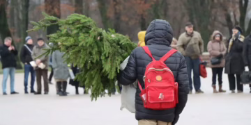 Vietoje tradicinės eglės – parsineškite nemokamą kalėdinę šaką