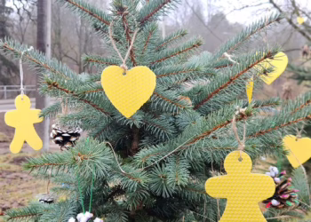 Vilniečių Kalėdų miškas išpuoštas natūraliais žaisliukais – skanėstais gyvūnėliams