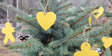 Vilniečių Kalėdų miškas išpuoštas natūraliais žaisliukais – skanėstais gyvūnėliams