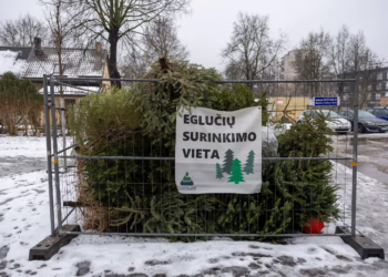 Naujųjų naktį Vilniaus Katedros aikštę užlies įspūdingos šviesos ir muzika