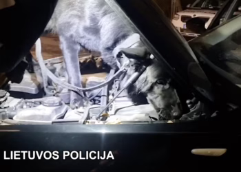 Širvintose suduotas smūgis neteisėtai narkotikų prekybai