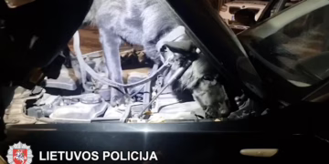 Širvintose suduotas smūgis neteisėtai narkotikų prekybai