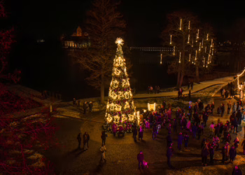 Trakuose sužibo Kalėdų eglė